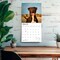 BrownTrout; American Pit Bull Terriers | 2027 12 x 24 Inch (Hanging) Monthly Square Wall Calendar | Plastic-Free; Category:Wall Calendars; Image:6